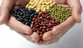 八大補(bǔ)腦營(yíng)養(yǎng)食品排行 圖